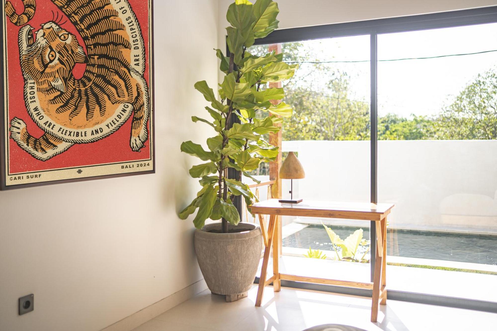 Cari Surf Camp & Studio'S Uluwatu  Bilik gambar